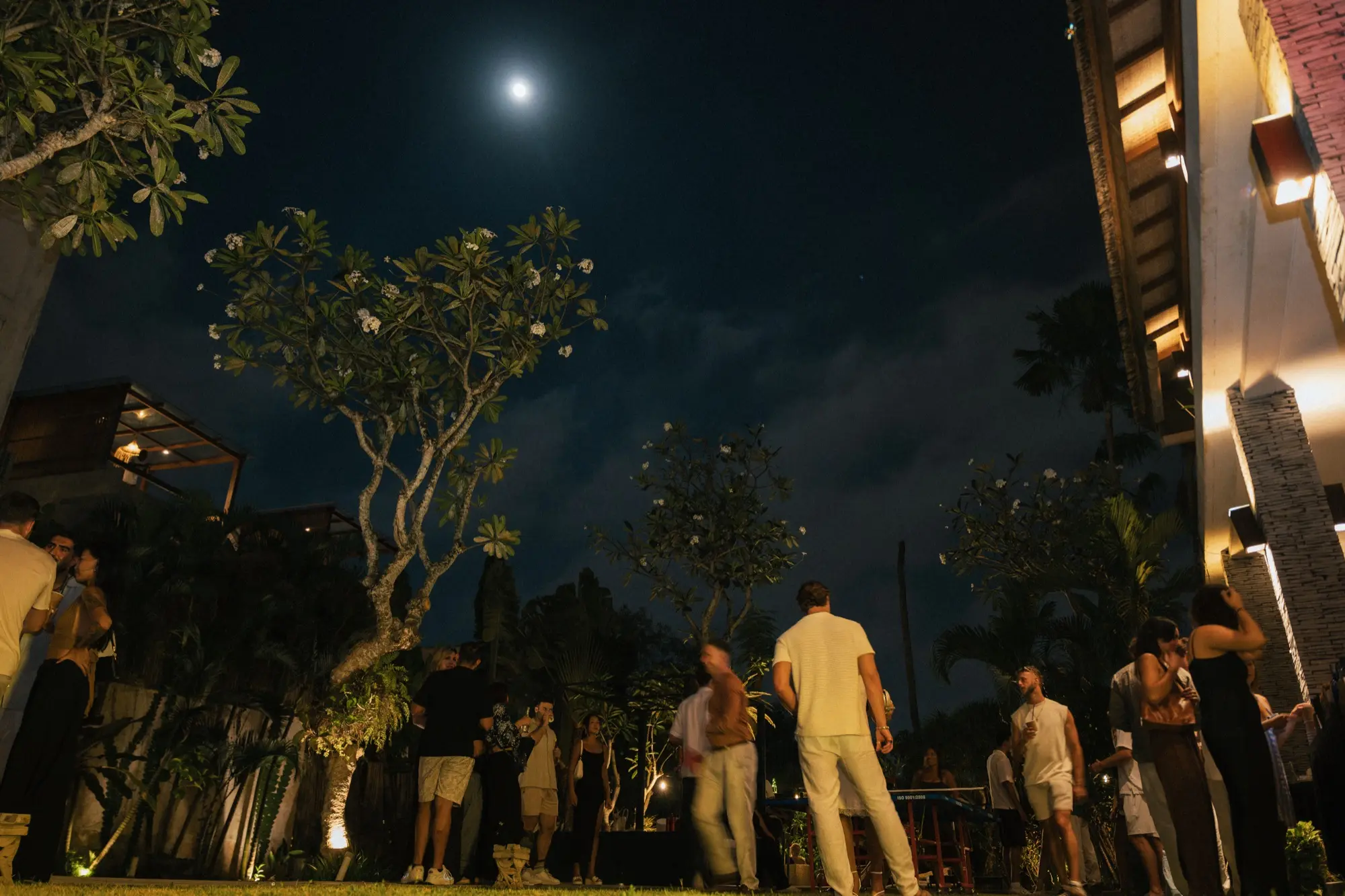 The garden under a full moon, guests between the trees